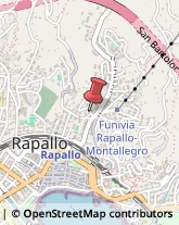 Agopuntura Rapallo,16035Genova