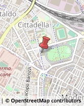 Sport - Scuole Modena,41121Modena