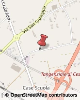 Pelletterie - Ingrosso e Produzione Cesena,47522Forlì-Cesena