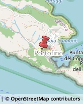 Abbigliamento Portofino,16034Genova