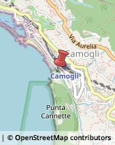 Avvocati Camogli,16032Genova