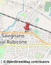 Agenzie Immobiliari Savignano sul Rubicone,47039Forlì-Cesena