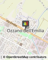 Ottica, Occhiali e Lenti a Contatto - Dettaglio Ozzano dell'Emilia,40064Bologna