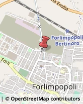 Elettrauto Forlimpopoli,47034Forlì-Cesena