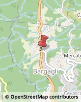 Poste Bargagli,16021Genova