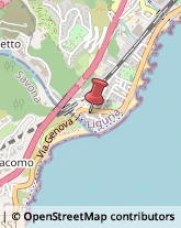 Internet - Servizi Varazze,17019Savona