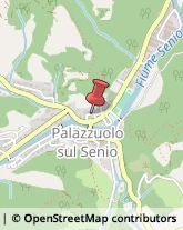 Poste Palazzuolo sul Senio,50035Firenze