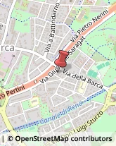 Agenzie di Vigilanza e Sorveglianza Bologna,40133Bologna