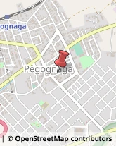 Leasing Pegognaga,46020Mantova