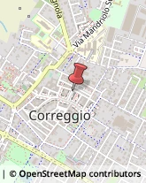 Palestre e Centri Fitness Correggio,42015Reggio nell'Emilia