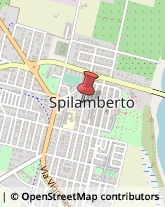 Articoli per Ortopedia Spilamberto,41057Modena