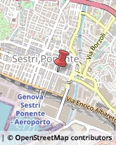 Forni per Panifici, Pasticcerie e Pizzerie,16154Genova