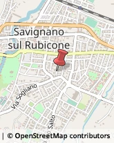 Molini Savignano sul Rubicone,47039Forlì-Cesena