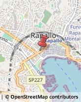 Calzature - Dettaglio Rapallo,16035Genova