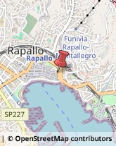 Giardinaggio - Macchine ed Attrezzature Rapallo,16035Genova