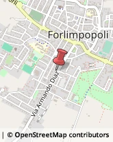 Logopedia Forlimpopoli,47034Forlì-Cesena