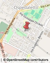 Giardinaggio - Servizio Forlì,47100Forlì-Cesena