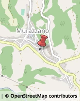 Autofficine e Centri Assistenza Murazzano,12060Cuneo