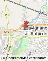 Veterinaria - Ambulatori e Laboratori Savignano sul Rubicone,47039Forlì-Cesena