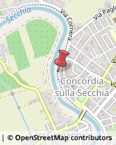 Aziende Agricole Concordia sulla Secchia,41033Modena