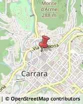 Articoli Sportivi - Dettaglio Carrara,54033Massa-Carrara