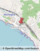 Chiropratica Moneglia,16030Genova