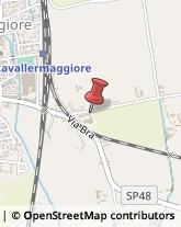 Aziende Agricole,12030Cuneo