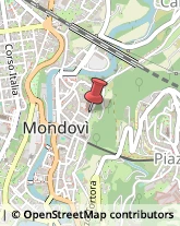 Psicologi Mondovì,12084Cuneo