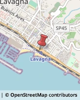 Taxi Lavagna,16033Genova