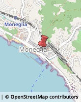 Abbigliamento Moneglia,16030Genova