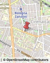 Articoli per Ortopedia Bologna,40138Bologna