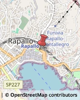 Avvocati Rapallo,16035Genova