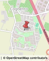 Agenti e Rappresentanti di Commercio,41126Modena