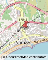 Bulbi e Sementi Varazze,17019Savona