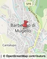 Imballaggi in Carta e Cartone Barberino di Mugello,50031Firenze