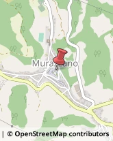 Locali, Birrerie e Pub Murazzano,12060Cuneo