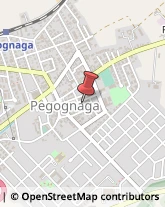 Factoring Pegognaga,46020Mantova