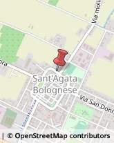 Autofficine, Autolavaggi e Gommisti - Attrezzature Sant'Agata Bolognese,40019Bologna