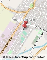 Palestre e Centri Fitness Poggio Rusco,46025Mantova