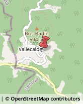 Localitá Vallecalda, 11,16019Ronco Scrivia