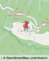 Riserve Naturali e Parchi Cantagallo,59025Prato