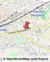 Uccelli Pinerolo,10064Torino