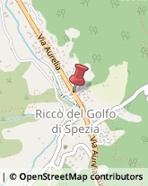 Imprese Edili Riccò del Golfo di Spezia,19020La Spezia