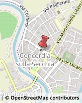 Farmacie Concordia sulla Secchia,41033Modena