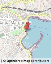 Cornici ed Aste - Dettaglio Santa Margherita Ligure,16038Genova