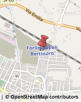 Divani e Poltrone - Dettaglio Forlimpopoli,47034Forlì-Cesena