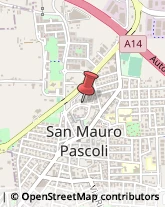 Agopuntura San Mauro Pascoli,47030Forlì-Cesena