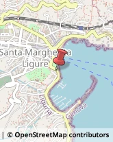 Maglieria - Dettaglio Santa Margherita Ligure,16038Genova