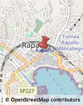 Psichiatria e Neurologia - Medici Specialisti Rapallo,16035Genova