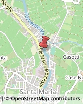 Piante e Fiori - Dettaglio Santa Maria della Versa,27047Pavia